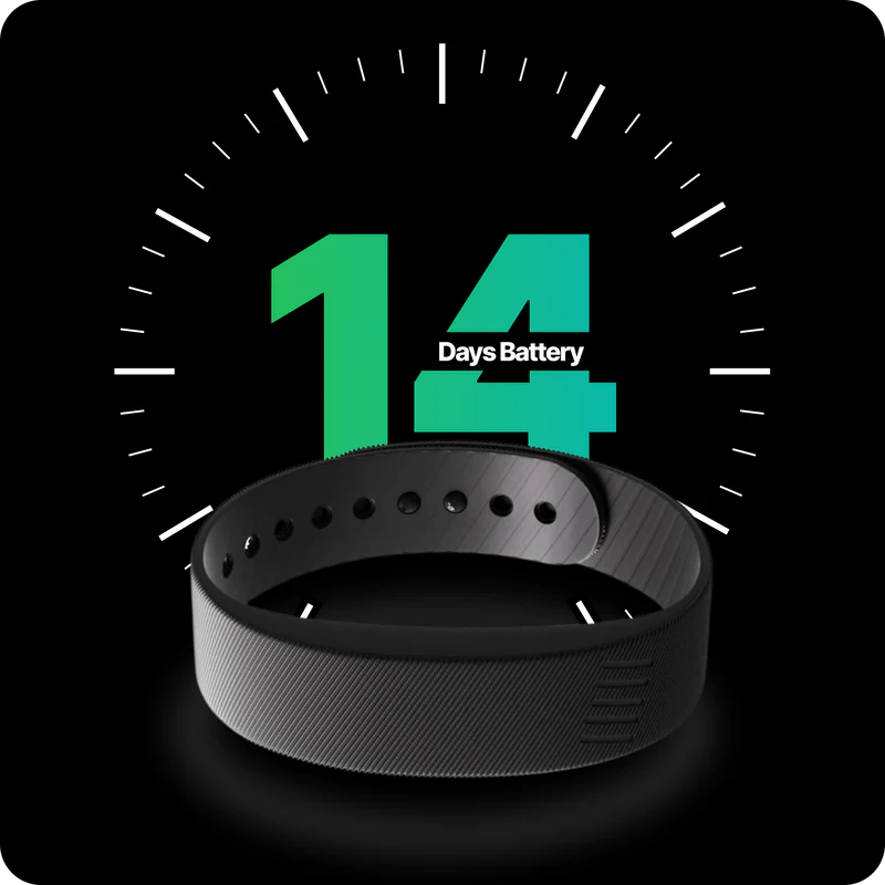 14+ Day Battery